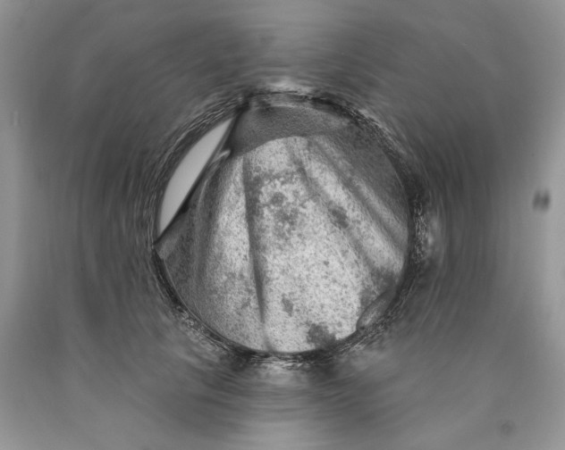 X0000089910657200707201757