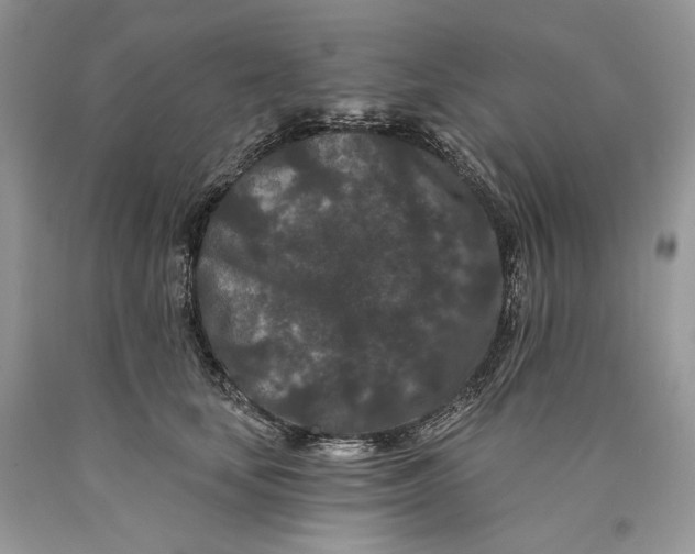 X0000089910659200707201757