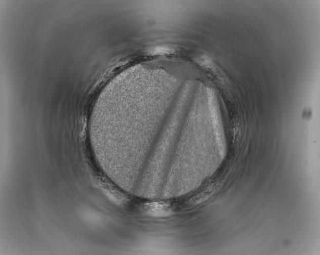 X0000089910660200707201757