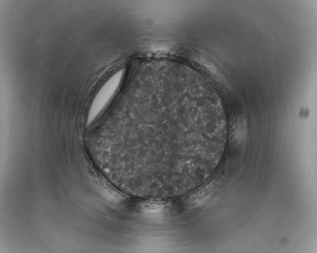 X0000089910661200707201757