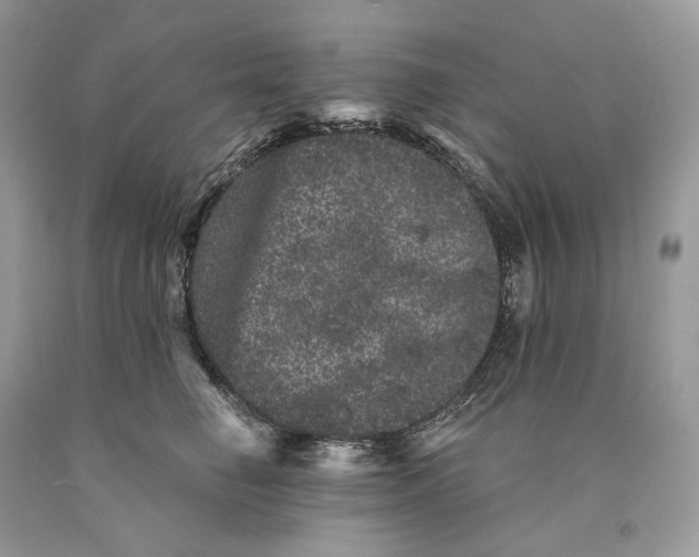 X0000089910662200707201757
