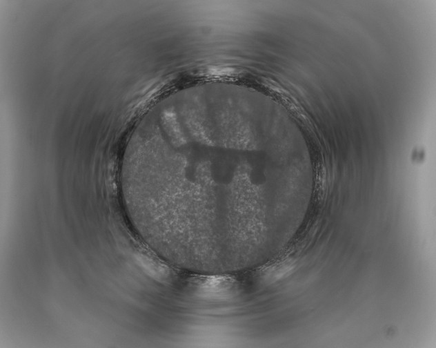 X0000089910663200707201757