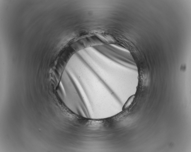 X0000089910665200707201757