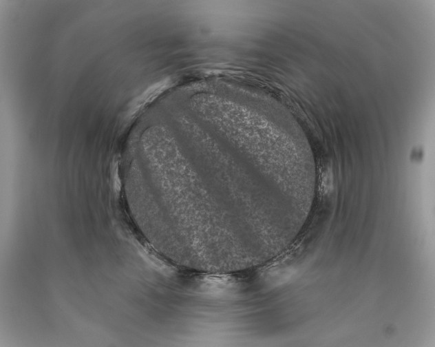 X0000089910666200707201757