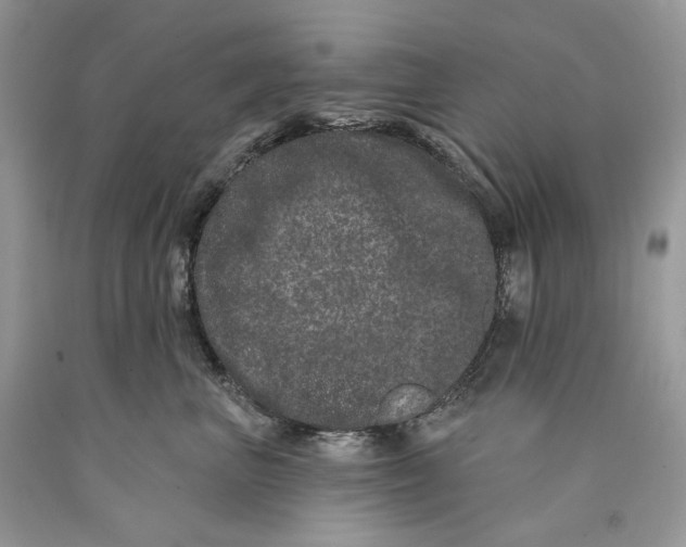 X0000089910667200707201757