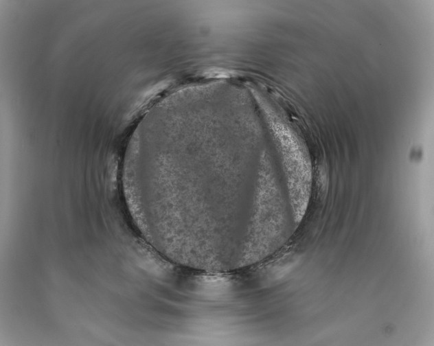 X0000089910668200707201757
