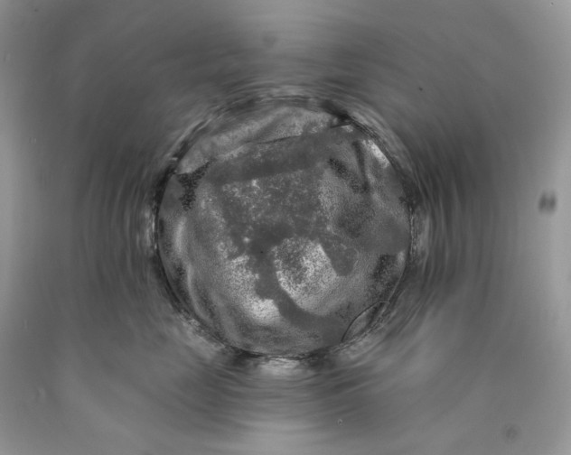 X0000089910669200707201757