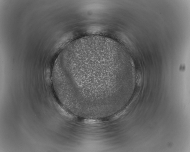 X0000089910670200707201757