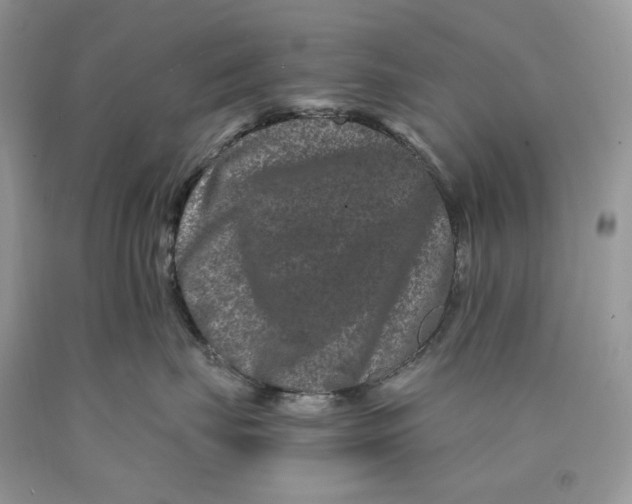 X0000089910671200707201757