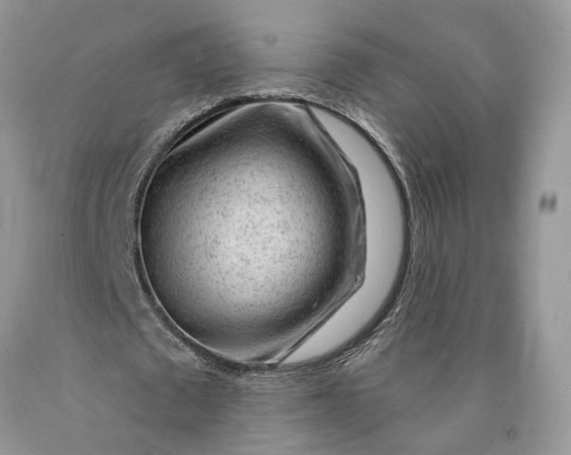 X0000089910673200707201757