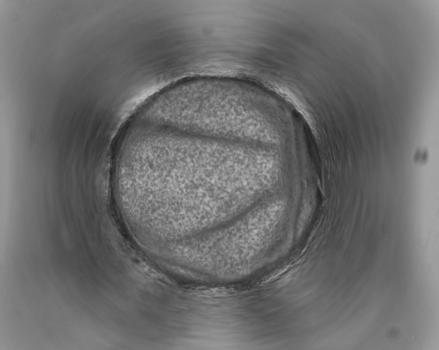 X0000089910675200707201757