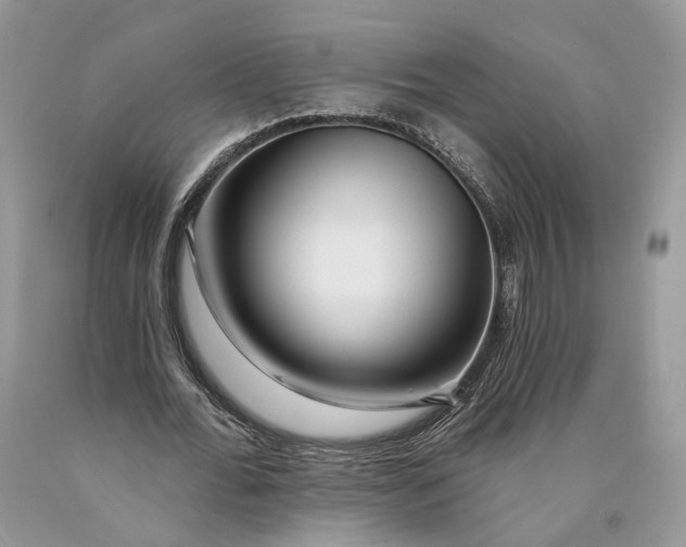 X0000089910676200707201757