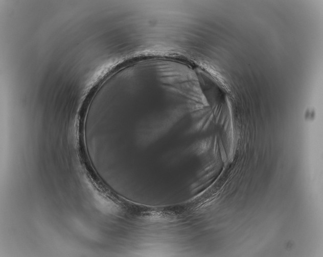 X0000089910678200707201757