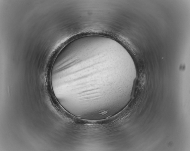 X0000089910680200707201756
