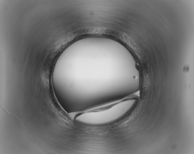 X0000089910681200707201756