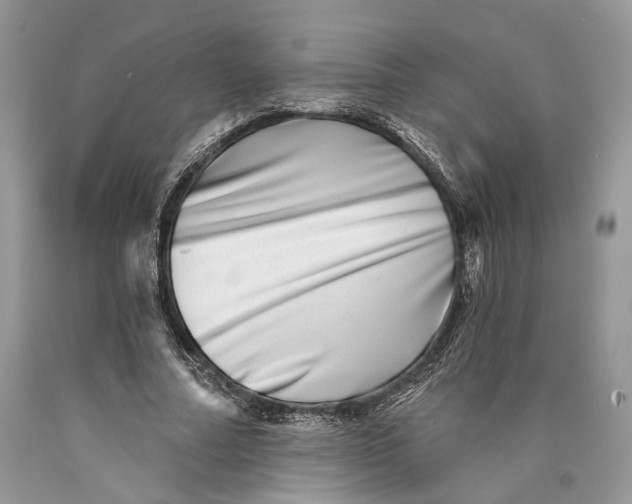 X0000089910682200707201756