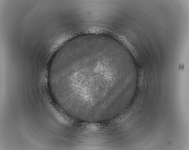 X0000089910683200707201756