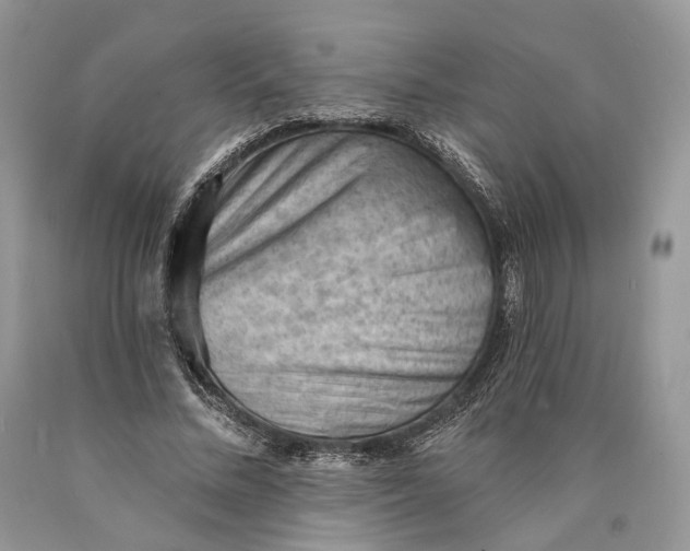 X0000089910684200707201756