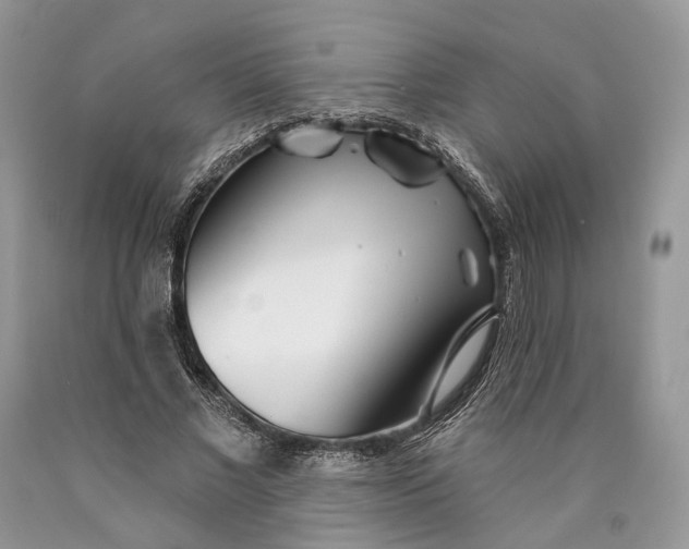 X0000089910685200707201756