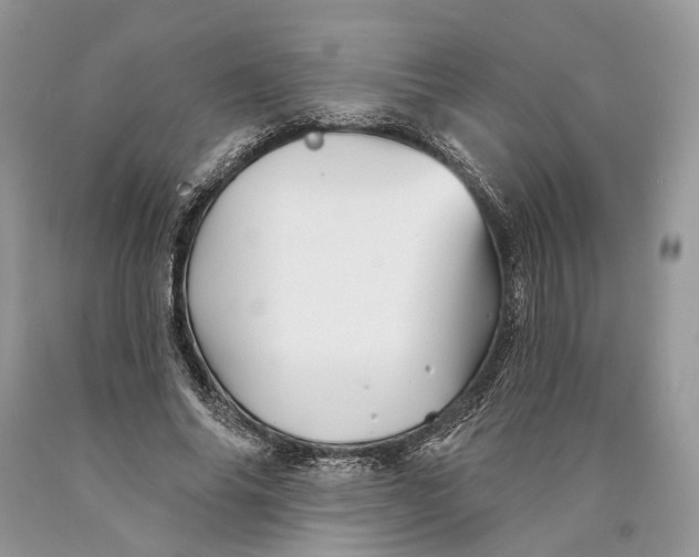X0000089910686200707201756
