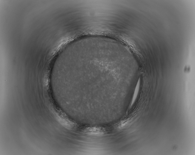 X0000089910687200707201756