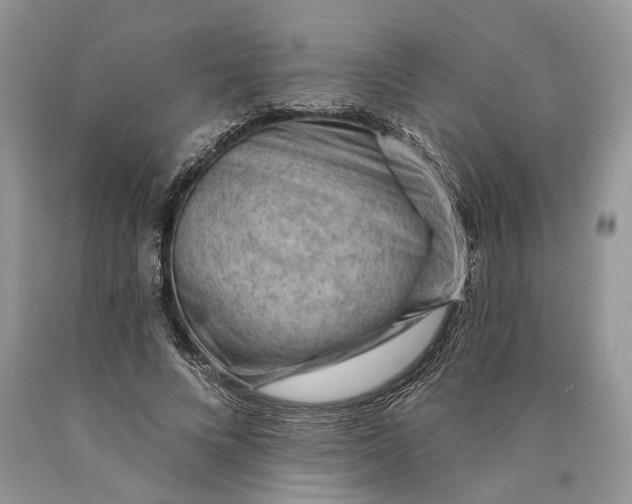 X0000089910688200707201756