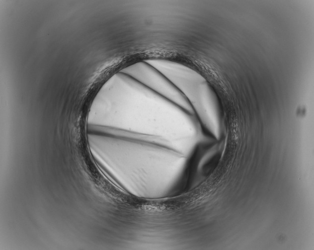 X0000089910690200707201756