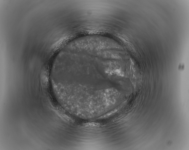 X0000089910691200707201756