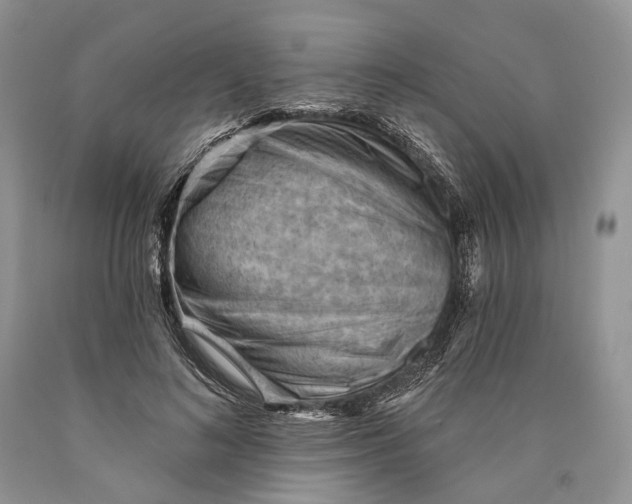 X0000089910692200707201756