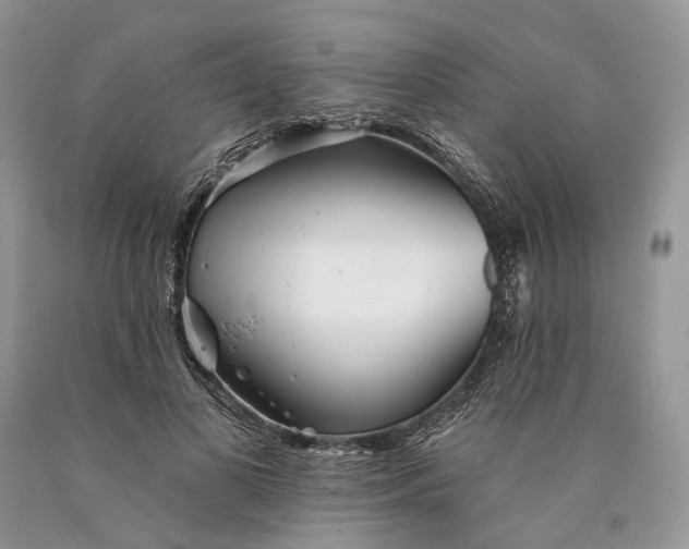 X0000089910693200707201756