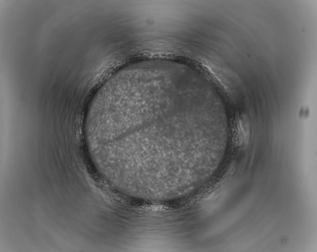 X0000089910695200707201756