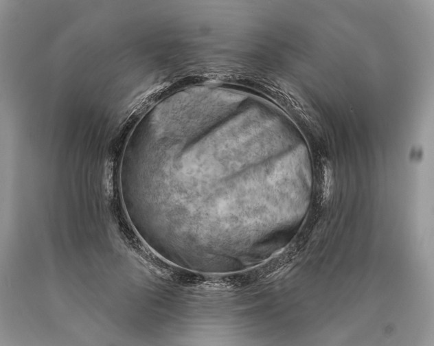 X0000089910696200707201756