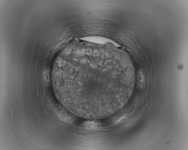 X0000089910699200707201756