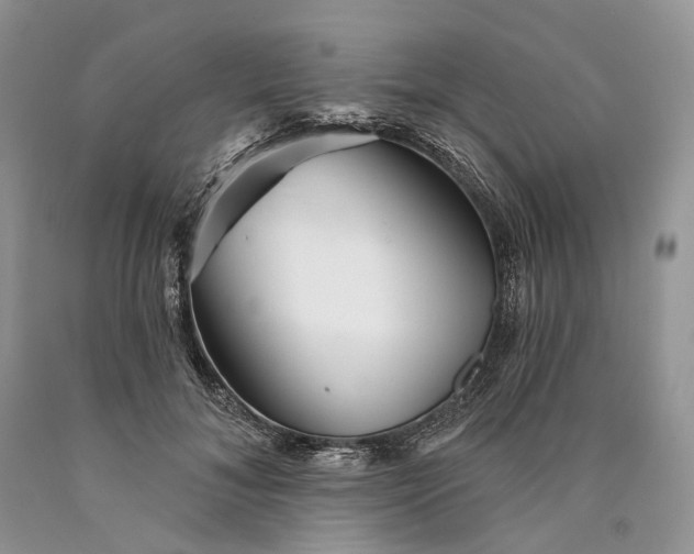 X0000089910700200707201756