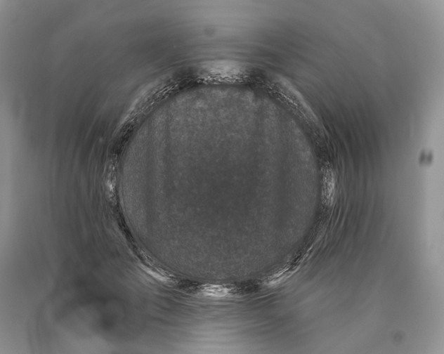 X0000089910701200707201756