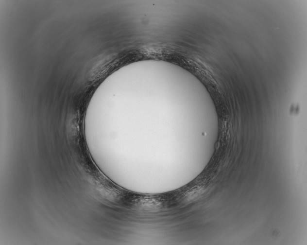 X0000089910702200707201756