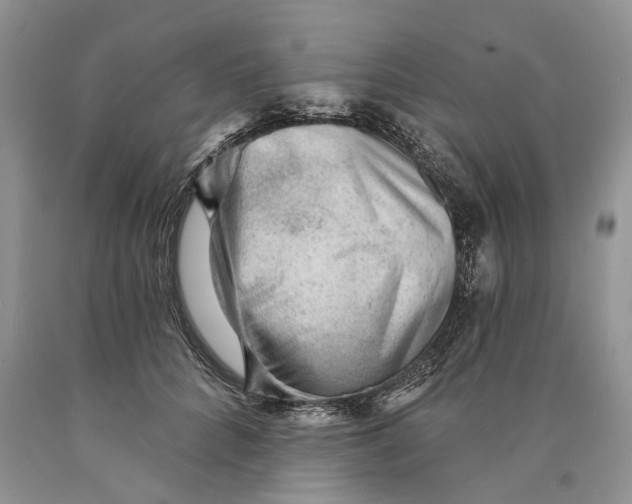 X0000089910704200707201756
