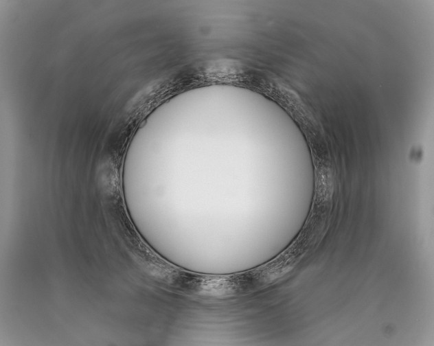 X0000089910705200707201756