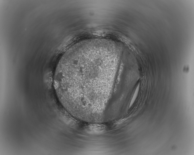 X0000089910707200707201756