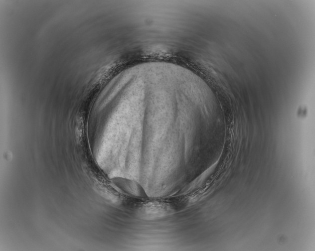 X0000089910708200707201756