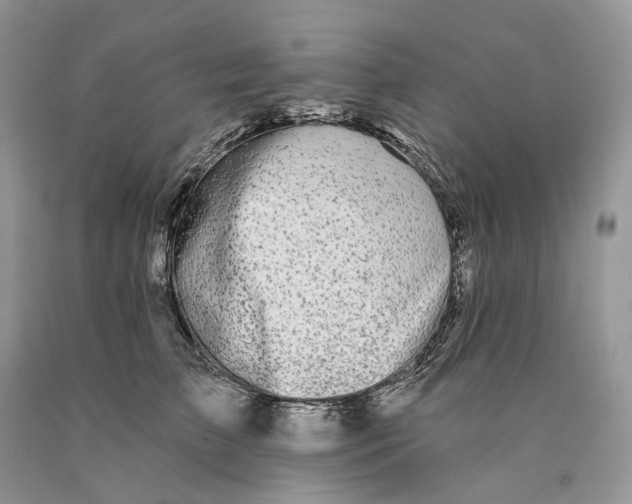 X0000089910709200707201756