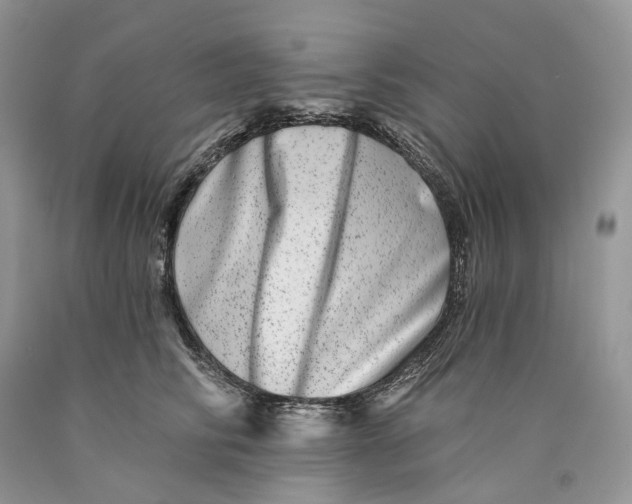X0000089910710200707201756