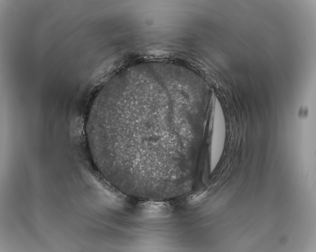 X0000089910711200707201756