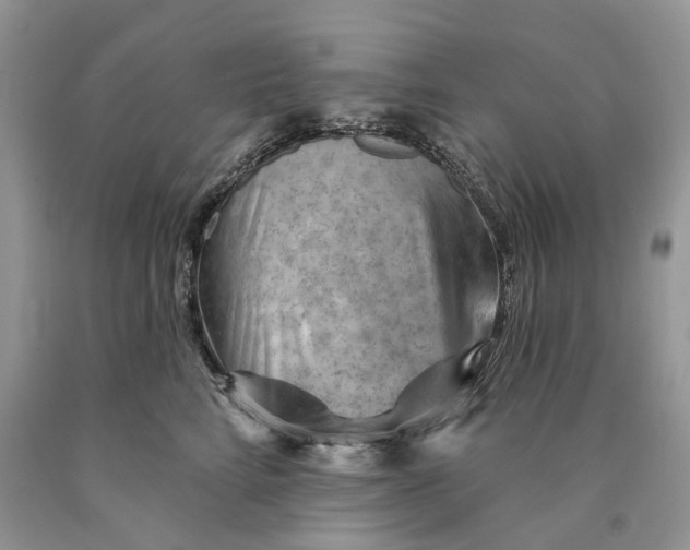 X0000089910712200707201756