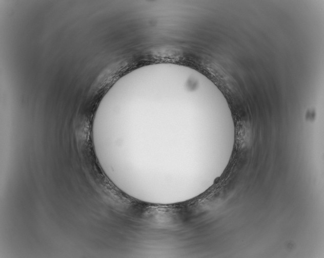X0000089910713200707201756