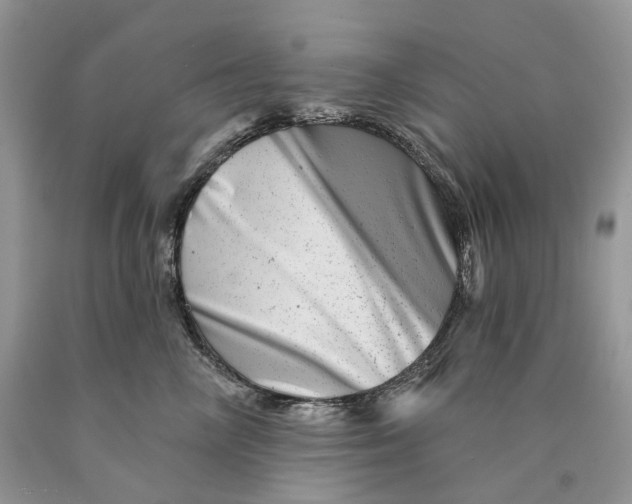 X0000089910714200707201756