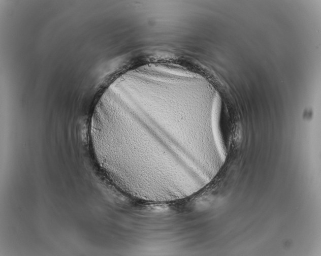 X0000089910715200707201756