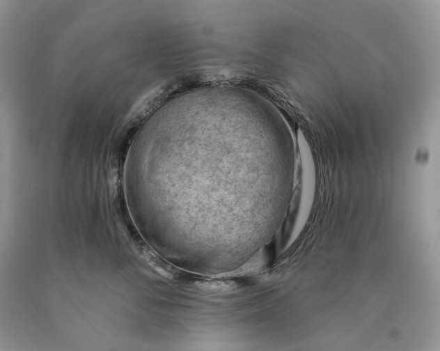 X0000089910716200707201756