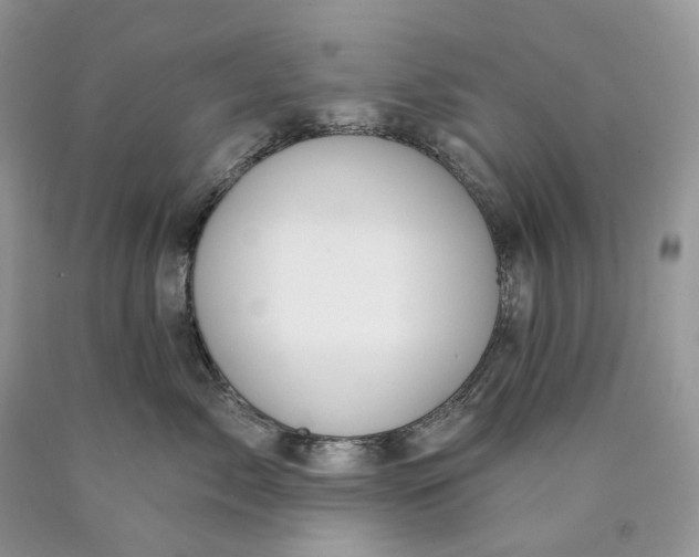 X0000089910717200707201756