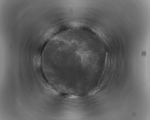 X0000089910718200707201756